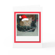 Are you Sure Santa Can't See Me? cards by Incatneato Are you Sure Santa Can't See Me? cards