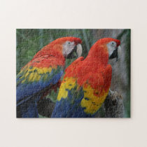 Are You Talking To Me puzzles