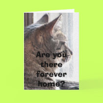 Are you there forever home? Notecard