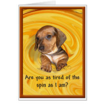 Are you tired of the spin? A dachshund's thoughts cards
