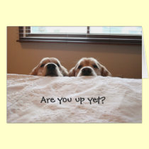 "Are You Up Yet?" Golden Retriever Greeting Card cards
