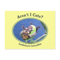 Aren't I Cute Bug Caterpillar Post Card