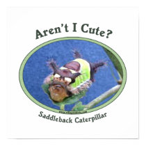 Aren't I Cute Bug Caterpillar Poster