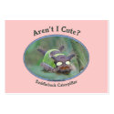 Aren't I Cute Caterpillar Bug Business Card Template
