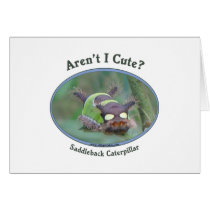 Aren't I Cute Caterpillar Bug Greeting Card