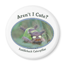 Aren't I Cute Caterpillar Bug Refrigerator Magnet