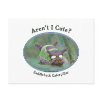 Aren't I Cute Caterpillar Bug Post Card
