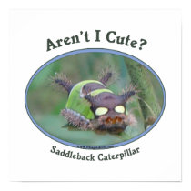 Aren't I Cute Caterpillar Bug Posters