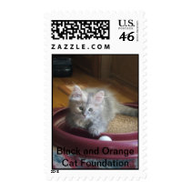 Aren't I cute?! Postage