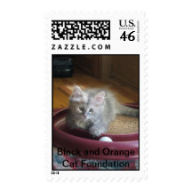 Aren't I cute?! Postage