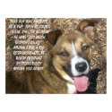 Aren'T I Cute??? Poster posters by sunsett76 Aren'T I Cute??? Poster posters