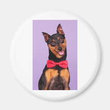 Aren't I handsome? Magnets