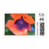 Aren't Poppies beautiful! postage by nightskyrider33 Aren't Poppies beautiful! postage