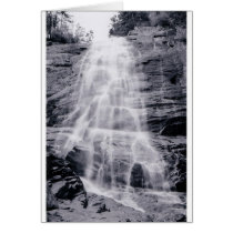 Arethusa in June cards