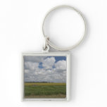 Argentina, Buenos Aires, San Antonio de Areco. Key Chain