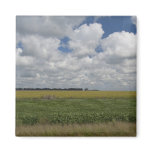 Argentina, Buenos Aires, San Antonio de Areco. Fridge Magnet