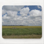 Argentina, Buenos Aires, San Antonio de Areco. Mousepads