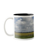 Argentina, Buenos Aires, San Antonio de Areco. mugs