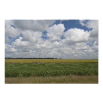 Argentina, Buenos Aires, San Antonio de Areco.