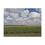 Argentina, Buenos Aires, San Antonio de Areco. Postcard