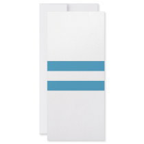 Argentina Civil Ensign Full Color Rack Card