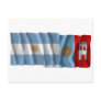 Argentina & Córdoba waving flags Post Cards