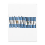 Argentina & Corrientes waving flags Post Card