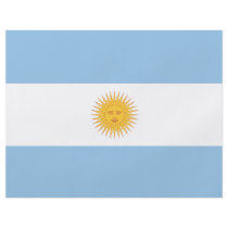 Argentina Flag flyers