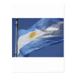 Argentina Flag Postcard