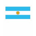 Argentina Flag T-shirt