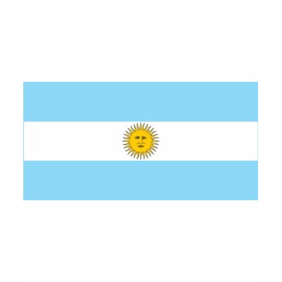 Argentina Flag Tee Shirt by teyes143