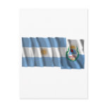 Argentina & Mendoza waving flags Post Cards