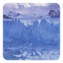 Argentina, Patagonia, Parque Nacional los Square Stickers