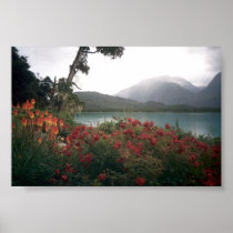 Argentina Print