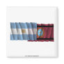 Argentina & Salta waving flags Fridge Magnet