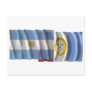 Argentina & Santa Fe waving flags Postcards