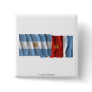 Argentina & Santiago del Estero waving flags Pinback Button