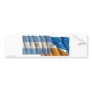 Argentina & Tierra del Fuego waving flags Bumper Sticker
