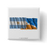 Argentina & Tierra del Fuego waving flags Pinback Button