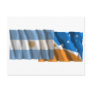 Argentina & Tierra del Fuego waving flags Postcards