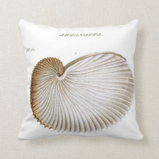 Argonauta Seashell/Beach/Nautical Throw Pillow Zazzle