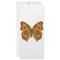 Argus Butterfly Full Color Rack Card