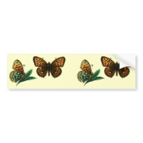 Argynnis aglaja bumper stickers by FlutterByButterfly Argynnis aglaja bumper stickers