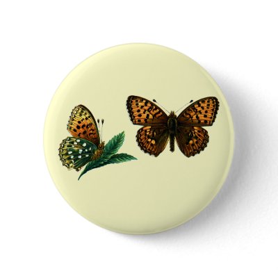 Argynnis aglaja button by FlutterByButterfly