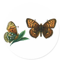 Argynnis aglaja stickers