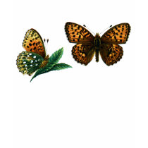 Argynnis aglaja t-shirts