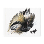 Ari Cat 1 Postcard