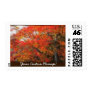 Ariana Autumn Leaves 1
