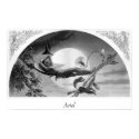 Ariel posters by ZephyrusBooks Ariel posters