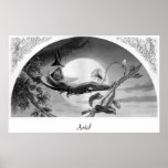 Ariel Poster